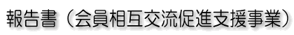 報告書（会員相互交流促進支援事業）